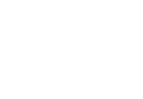 IPS Group