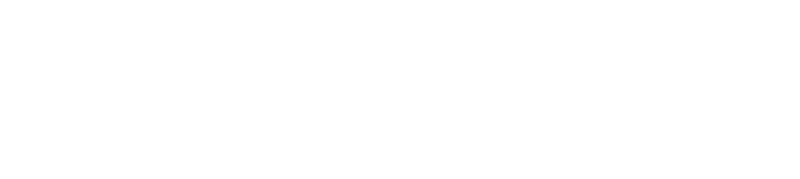 Passport